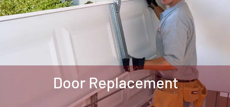  Door Replacement 